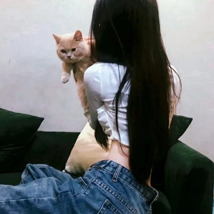 拜访小屋